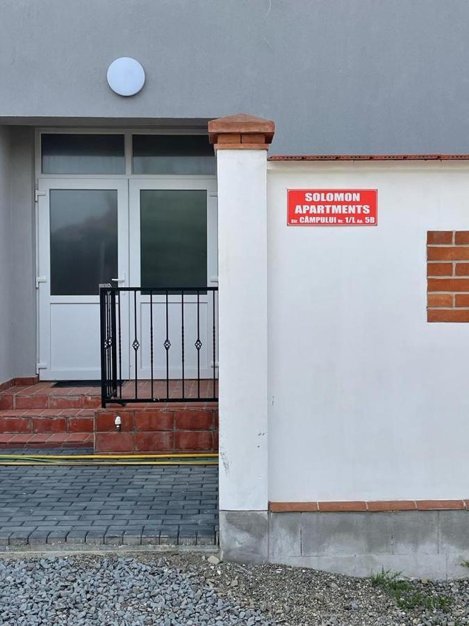Solomon Apartments Ap 2 Sîngeorgiu de Mureş Zewnętrze zdjęcie